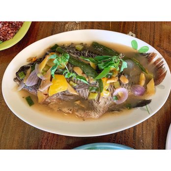 The Buzz Cafe - Steam tilapia - Cafes Near Me - Panglao, BOH The Buzz Cafe - Steam tilapia - Cafes Near Me - Panglao, BOH