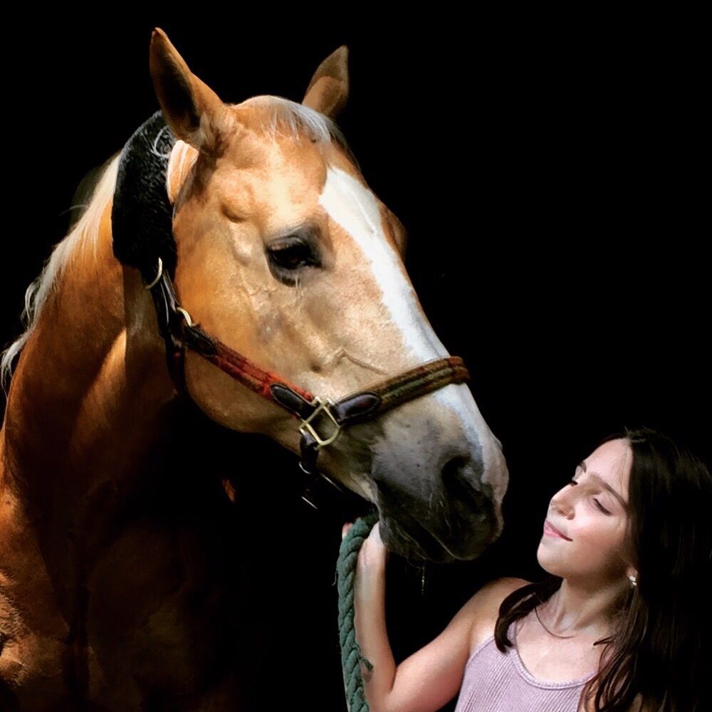 Horsefaire - equestrian in Glastonbury, CT