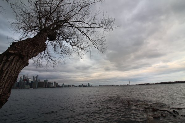 Toronto Island Park Olympic Island by null