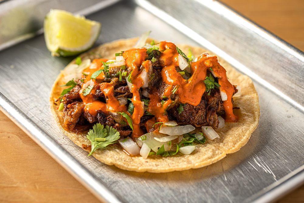 Lonesome Rose - Logan Square