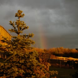 Waterstone Equestrian Centre