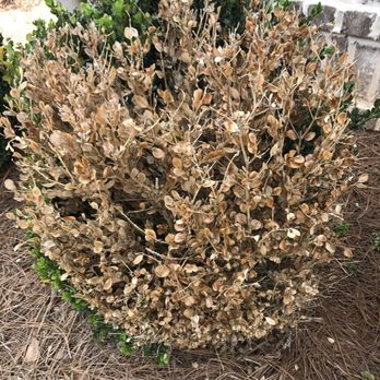 Nature's Finest - Pest Control Near Me - Tallahassee, Florida Nature's Finest - Pest Control Near Me - Tallahassee, Florida