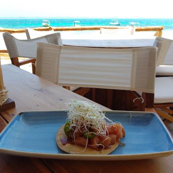 Mar-Bella - Tostada Caramelizada - Beach Bars Near Me - Puerto Morelos, ROO Mar-Bella - Tostada Caramelizada - Beach Bars Near Me - Puerto Morelos, ROO