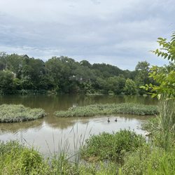 Veterans Park - Ducks
