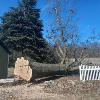 Timber & Beyond - Tree Services Near Me - Shermans Dale, Pennsylvania Timber & Beyond - Tree Services Near Me - Shermans Dale, Pennsylvania