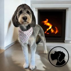 Von Barkees Dog Spa & Bakery - All Breed and Mixed Breed Grooming!
