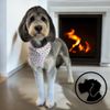 Von Barkees Dog Spa & Bakery gift card