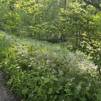 Southwestway Park - Parks Near Me - Indianapolis, Indiana Southwestway Park - Parks Near Me - Indianapolis, Indiana