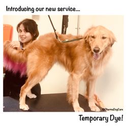 Dharma Dog Services - Coconuts tail looks pretty in pink! Pricing varies, please contact us to inquire more info!