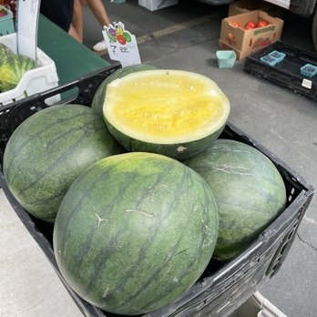 Shoreview Farmers Market - yellow watermelon! - Farmers Market Near Me - Shoreview, Minnesota Shoreview Farmers Market - yellow watermelon! - Farmers Market Near Me - Shoreview, Minnesota
