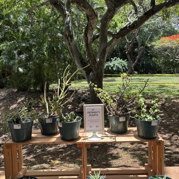 HALAWA XERISCAPE GARDEN - Updated December 2025 - 347 Photos & 19