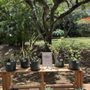 Photo of Halawa Xeriscape Garden