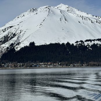 Kenai Fjords Tours - View - Boat Tours Near Me - Seward, Alaska