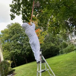 Eliminating 365 Pest Control - Bee nest removal