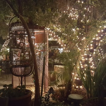 The Perch Brewery - Dem lights doe - Gastropubs Near Me - Chandler, Arizona The Perch Brewery - Dem lights doe - Gastropubs Near Me - Chandler, Arizona