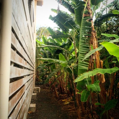 Bears' Place Guest House by null