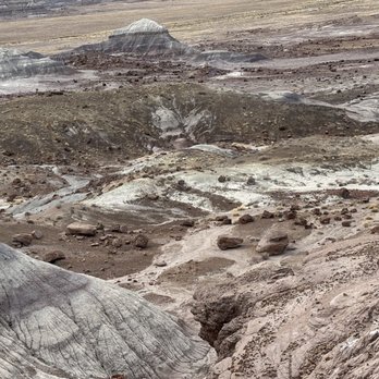 Petrified Forest National Park - Parks Near Me - Petrified Forest, Arizona