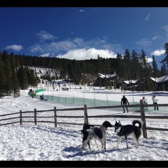 Carter Park Dog Park - Dog Parks Near Me - Breckenridge, Colorado Carter Park Dog Park - Dog Parks Near Me - Breckenridge, Colorado