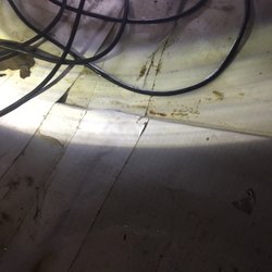 1 800 Busydog 29 Photos 110 Reviews Waterproofing 1600 Providence Hwy Walpole Ma United States Phone Number Waterproofing 1600 Providence Hwy