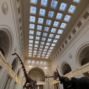 Field Museum - Museums Near Me - Chicago, Illinois Field Museum - Museums Near Me - Chicago, Illinois
