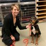 Gentle Touch Animal Hospital