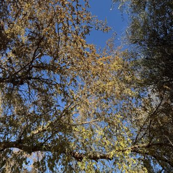 El Prado Park - Parks Near Me - Phoenix, Arizona El Prado Park - Parks Near Me - Phoenix, Arizona