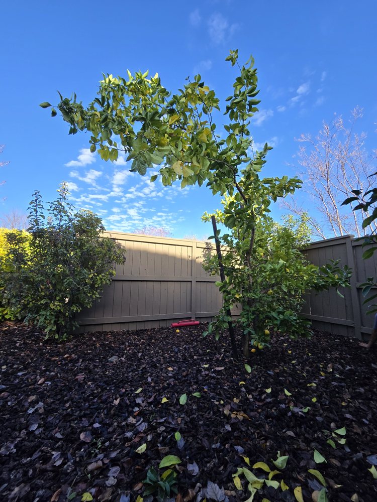 Slide of The Handy Couple