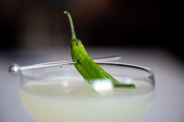 The Bar at Saint Kate by null