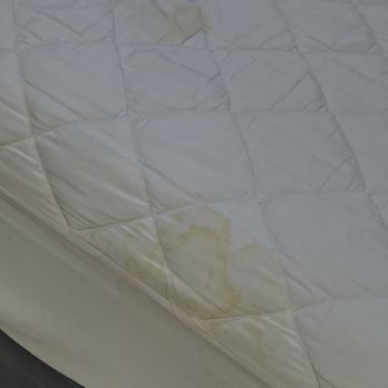 BlackGold Inn - Stain on mattress fitterr - Hotels Near Me - Yoakum, Texas BlackGold Inn - Stain on mattress fitterr - Hotels Near Me - Yoakum, Texas