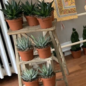 LEARKE - Home Decor Near Me - Easton, Pennsylvania
