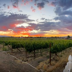 Mafia Princess Wines - Never gets old!