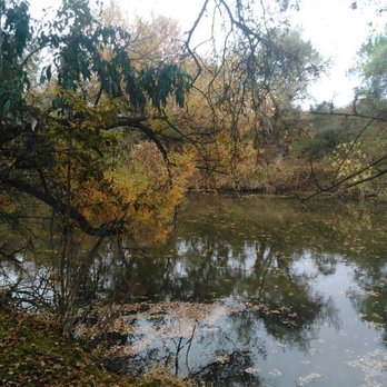 Putah Creek Riparian Reserve - Hiking Near Me - Davis, California Putah Creek Riparian Reserve - Hiking Near Me - Davis, California