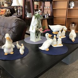 Sparrow's Nest Thrift Store