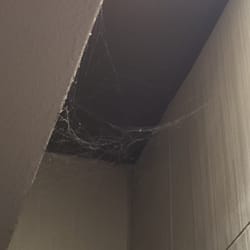 Victory Buffet - One of the cob webs
