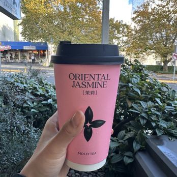 Molly Tea - Premium Jasmine Milk Tea - Bubble Tea Near Me - Bellevue, Washington