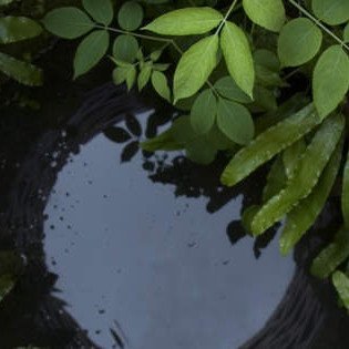 Slide of Custom Pump Services