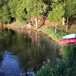 Buck Lake - All Ten 2017 ducklings survived from May to August- so cute.