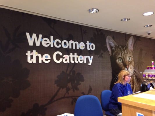 Battersea Dogs and Cats Home by null