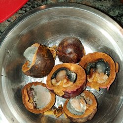 Big Y - All the fruit in a box of mangosteen which cost 14.99 are moldy. Bought tonight about 30 minutes ago