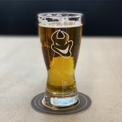 Devil May Care Brewing - Golden Record West Coast IPA