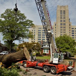 Harrison Tree Service