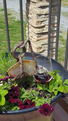 Shannon Faye Winery by null