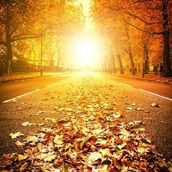Lighthouse Insurance Services - Lighthouse Insurance Services in Gambrills MD - Auto Insurance Near Me - Gambrills, Maryland Lighthouse Insurance Services - Lighthouse Insurance Services in Gambrills MD - Auto Insurance Near Me - Gambrills, Maryland