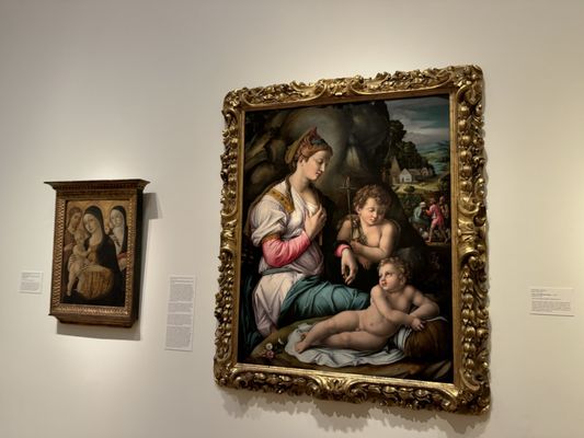 Virginia Museum of Fine Arts by null