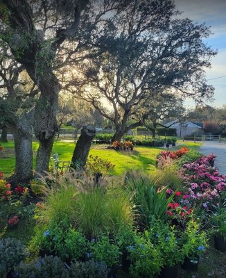 ☘️aiiKEN73*Garden☘️AG202512 Spirit Lake Garden Center, 5123 Spirit Lake Rd, Winter Haven, FL