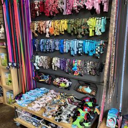 Hala's Paws - Handcrafted Dog Collars, Bow Ties, Flowers, Bandanas & more!