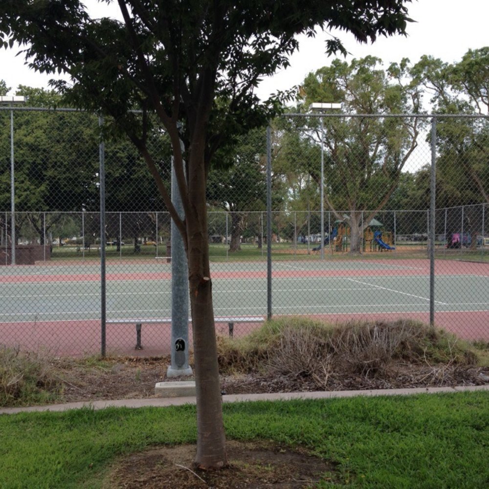 Roosevelt Park - Parks Near Me - Modesto, California Roosevelt Park - Parks Near Me - Modesto, California