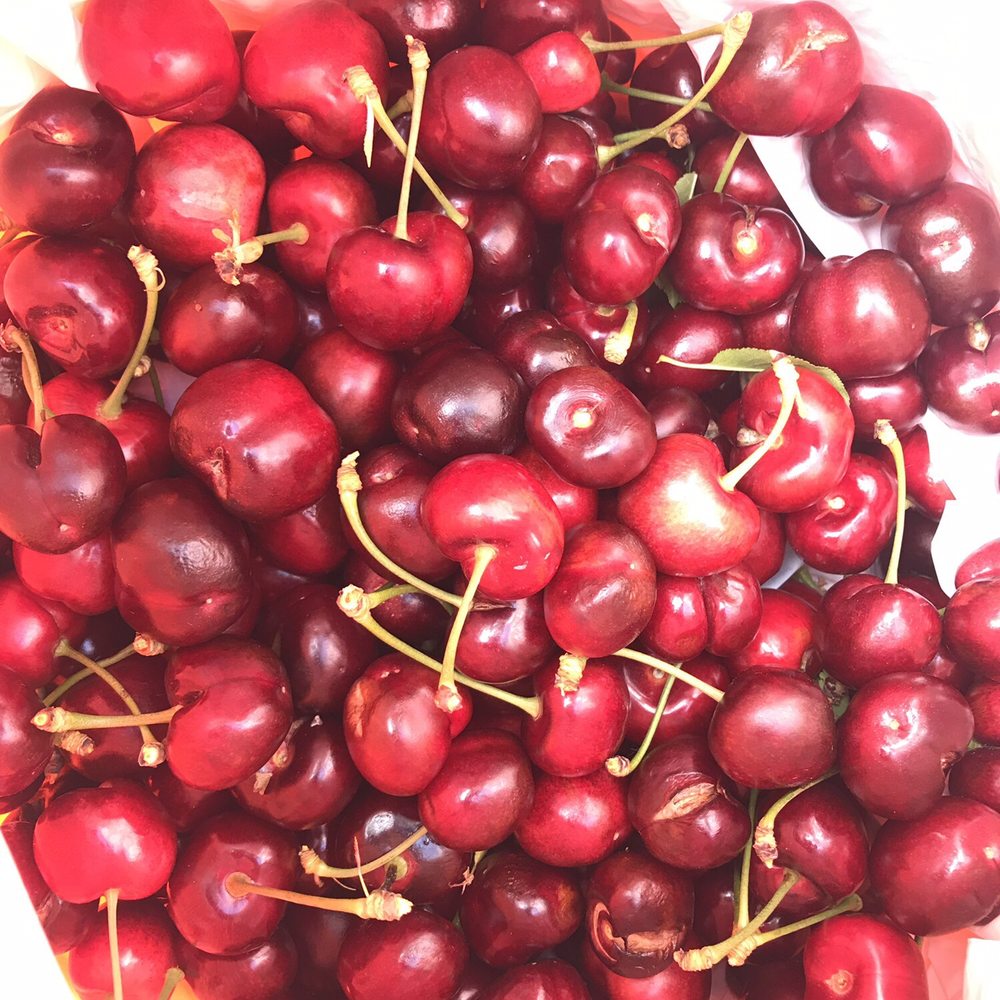 Cherry Time - Pick Your Own Farms Near Me - Brentwood, California Cherry Time - Pick Your Own Farms Near Me - Brentwood, California