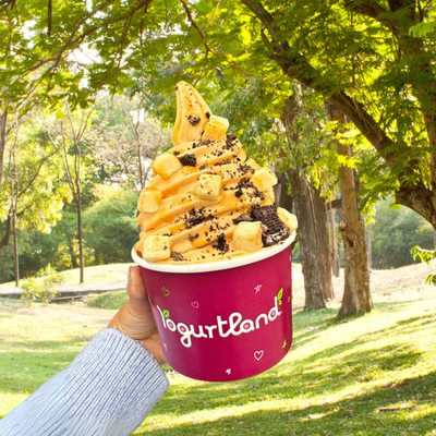 Yogurtland Garland by null