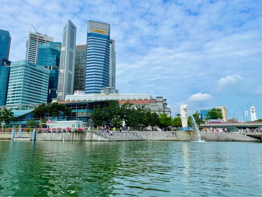 Singapore DUCKtours by null